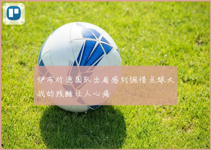 伊布对德国队出局感到惋惜点球大战的残酷让人心痛